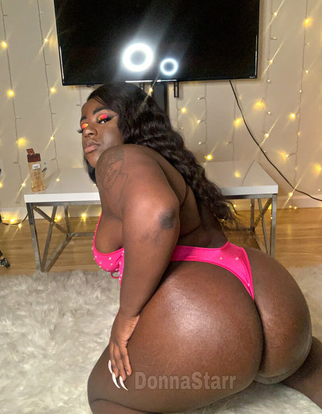 donnastarr art étoile img