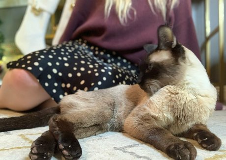 freebunbun actrice adulte collection