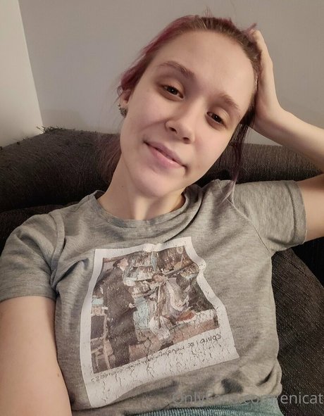 enicat étoile de haute qualité photo