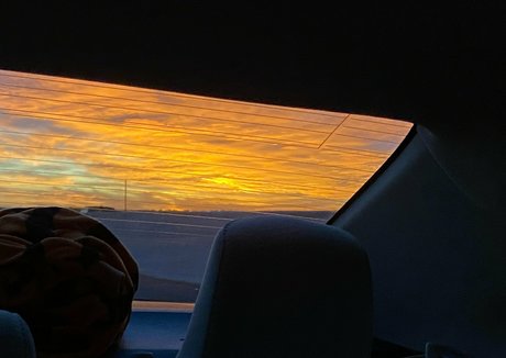 stellarstella art de star du porno images