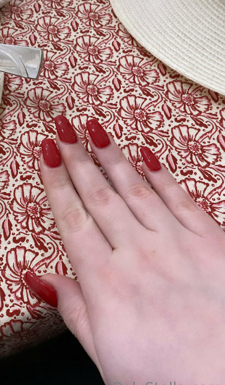 stellarstella star du porno érotique collection