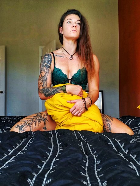 AmericanKat étoile de haute qualité collection