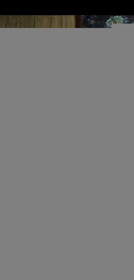 curvycamilafree belle actrice img