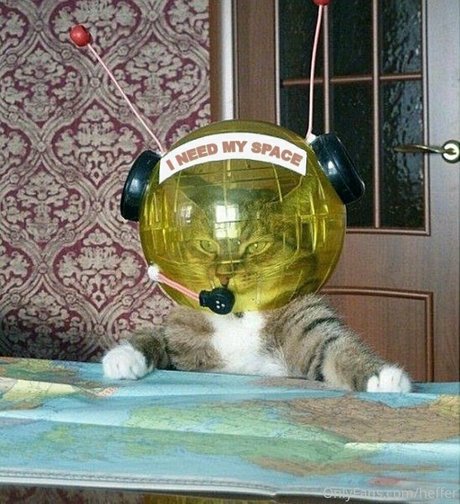 heffer sexe de star du porno galeries