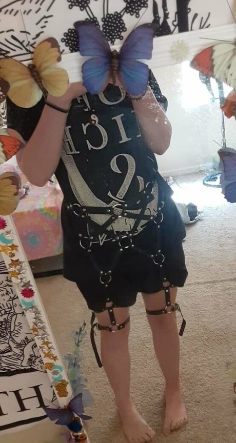 heffer modèle de haute qualité image