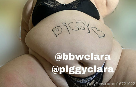 piggyclara haut modèle image