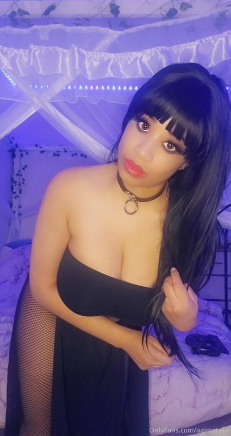 aaimztako modèle artistique galeries