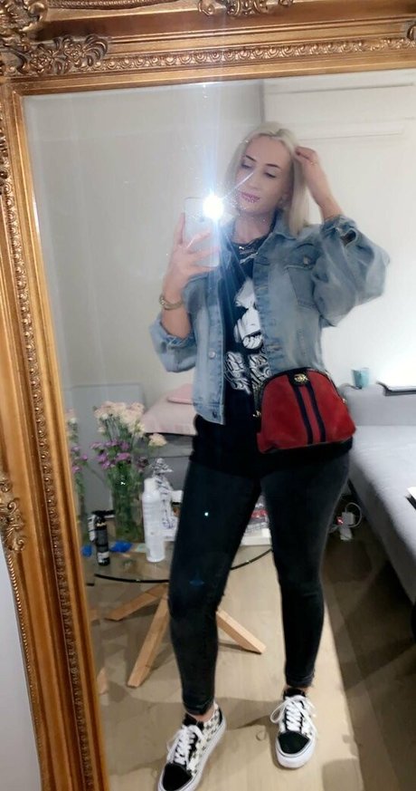 Seshemetka modèle parfait image