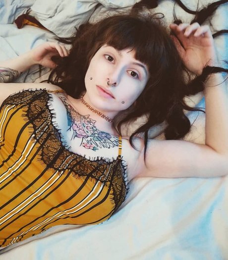 Zainab étoile galeries