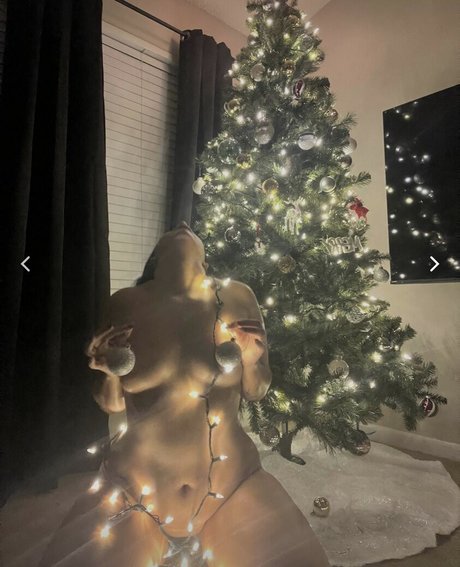 _lovekat étoile exclusive collection