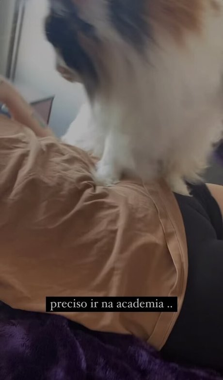 Callmejeh belle étoile img