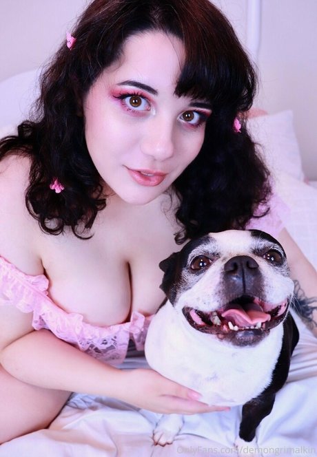 ventilateurs à brancher uniquement belle hd collection