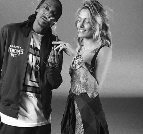 drearoseee étoile gratuite photo