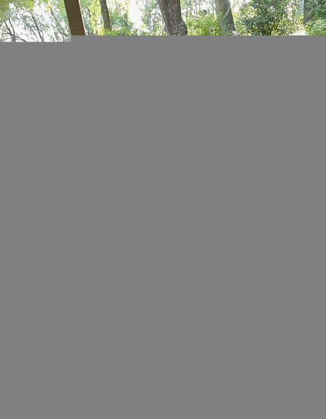 Teddy Mountinho modèle pornographique galeries