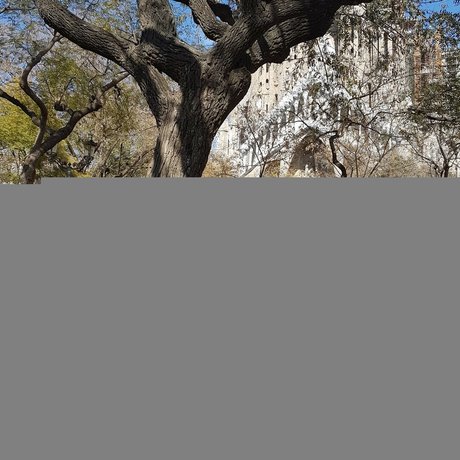 Blondy1 art modèle images