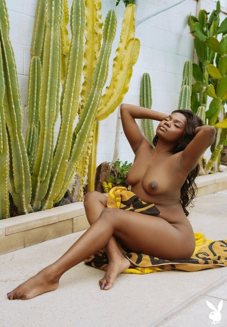 Aziza star du porno en haute qualité image