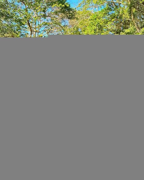 Stacy Londyn étoile de haute qualité collection