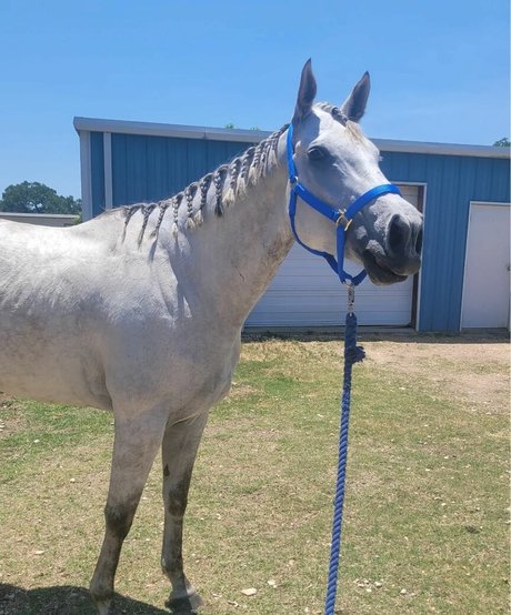 fans de cire uniquement chaud en haute qualité img