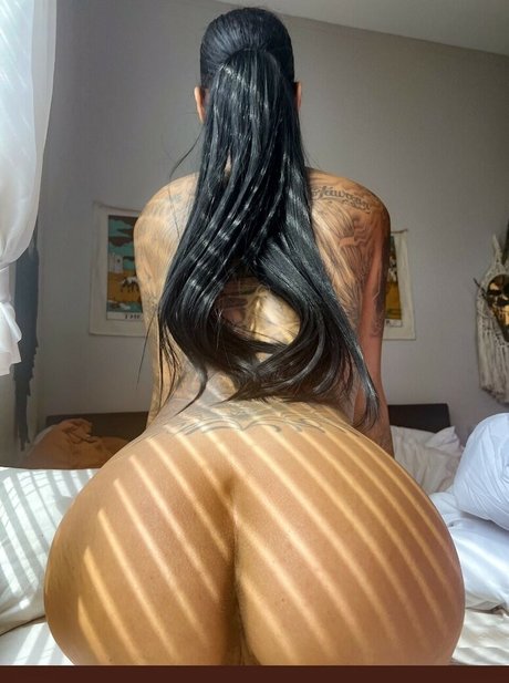 DankDahl étoile sympa archive