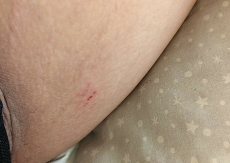 goth kitten modèle joli photo