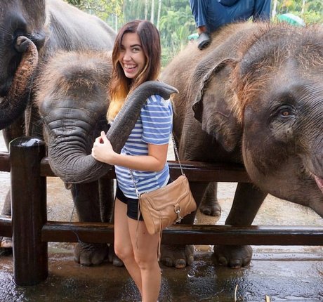 Jenna Ashley actrice de grande qualité des photos