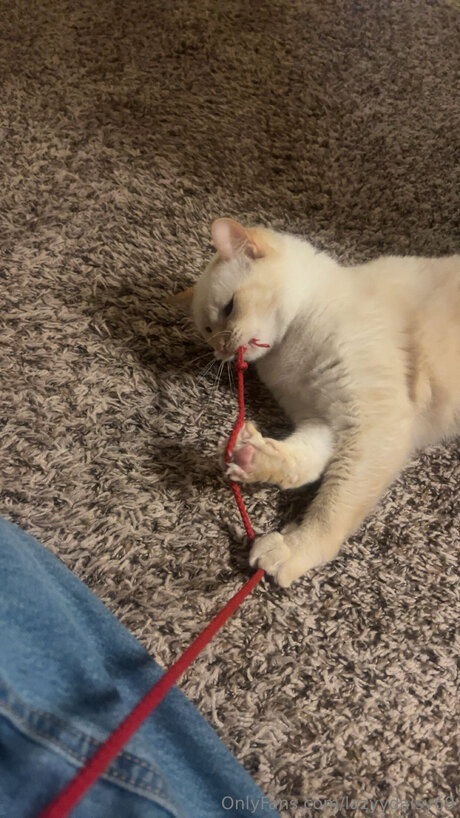 Lazyydaisy69 actrice xxx des photos