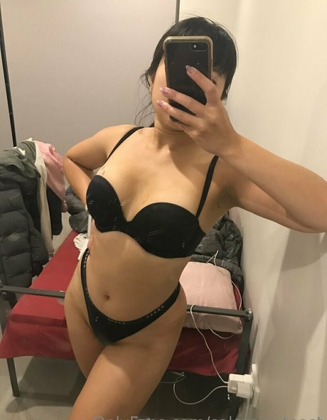 salamiontoast modèle parfait image