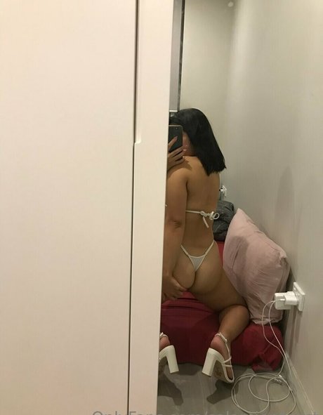 salamiontoast star du porno belle photo