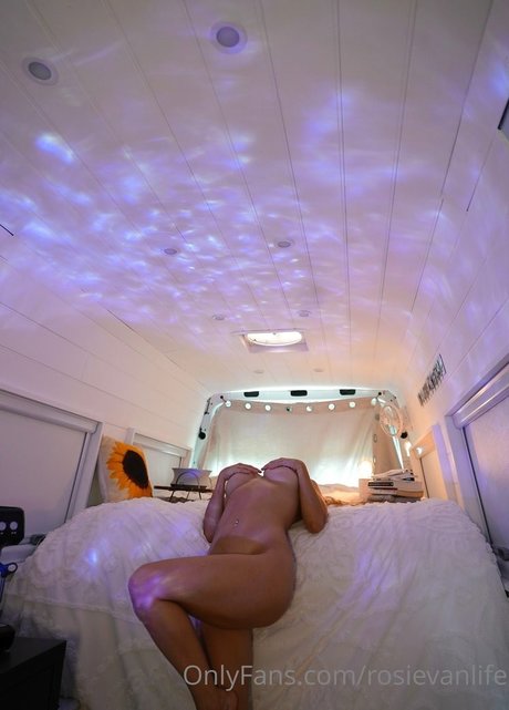 rosievanlife meilleure star du porno collection