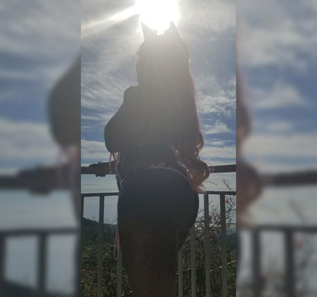 fans de travestis uniquement pornographique en haute définition archive