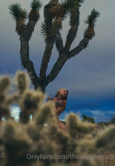 nouveaux modèles onlyfans hd sympa photo