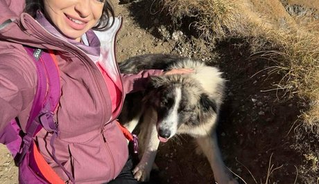 Anisyia_ jolie actrice image