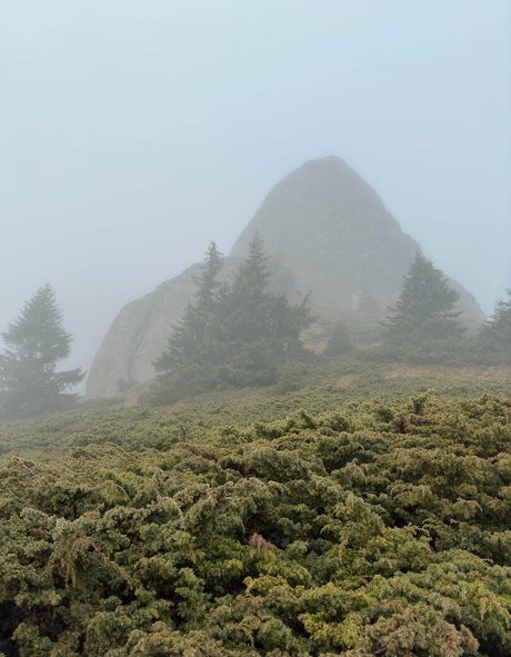 Anisyia_ étoile exclusive des photos