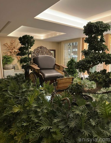 Anisyia_ modèle adulte archive