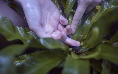 Kat Malone star du porno gratuit image