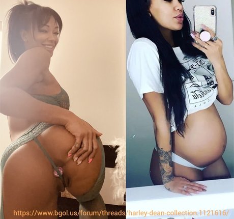 Harley Dean étoile adulte archive