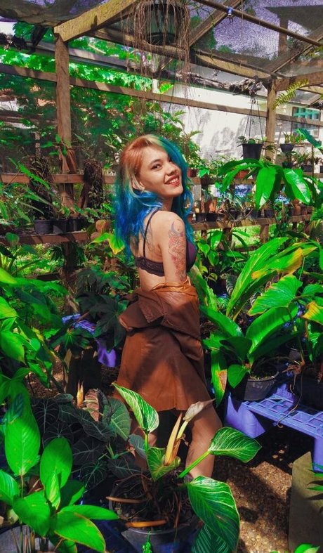 sophya sg star du porno en haute qualité archive