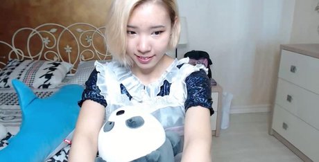 Pancakee art star du porno des photos