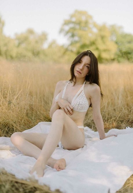 Sophei Bird art étoile image