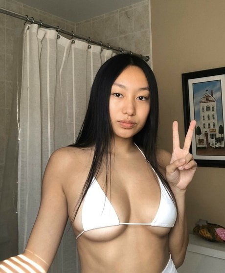 Elorado modèle gratuit images