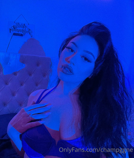 Champggne étoile de haute qualité photos