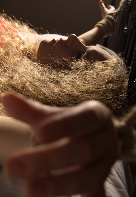 Emily Hamilton étoile image