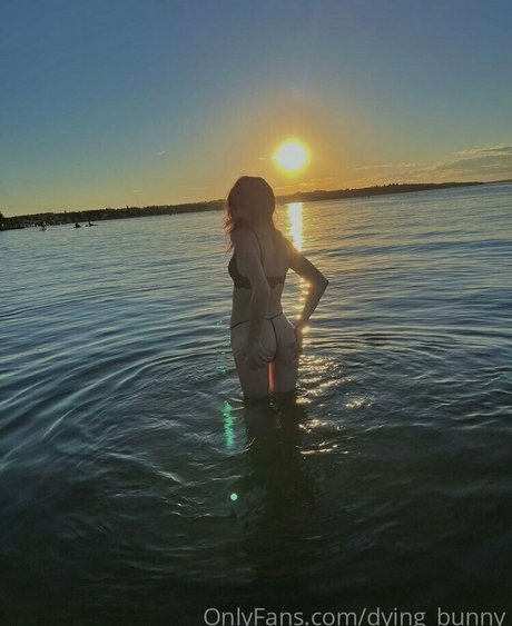 Dying bunny star du porno exclusive galerie