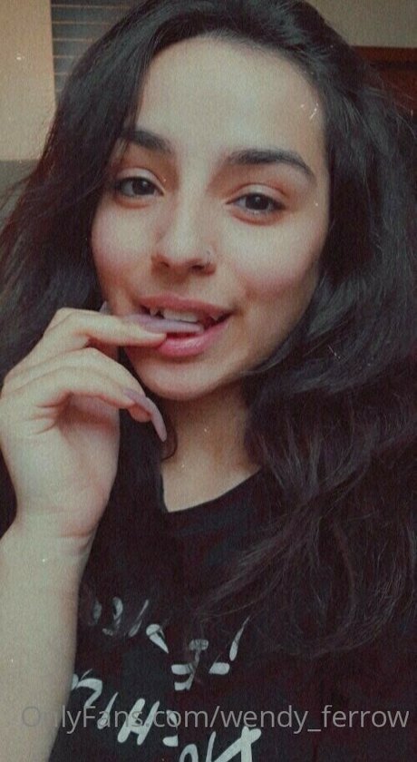 wendy ferrow haut de star du porno collection