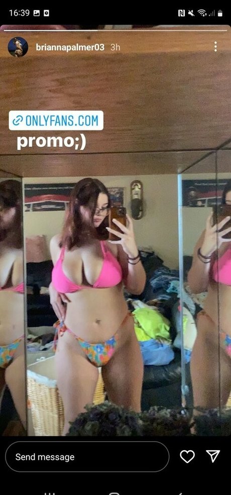 Bripalmer belle étoile images