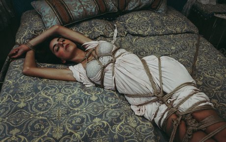 Auromineo étoile gratuite des photos