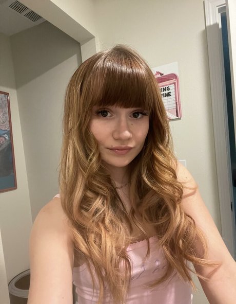 pixieswallows étoile de haute qualité img