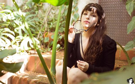 antonieta modèle parfait images