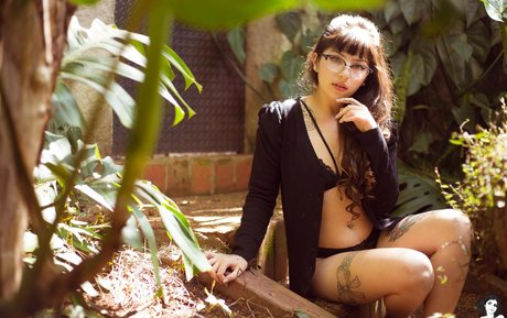 antonieta meilleur modèle collection