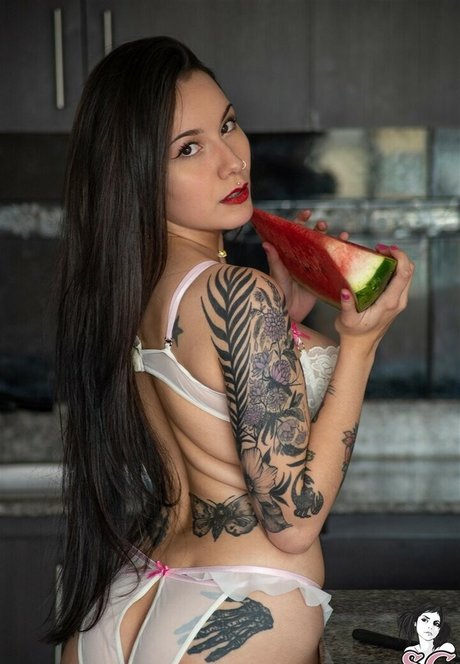 Laurapr haut de star du porno collection